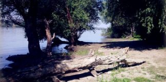 Borčansku oazu mira posećuju i stranci Leva obala Dunava