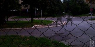 Napadnuta žena u Borči Napadnuta žena u Borči