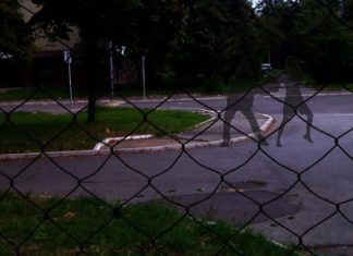 Napadnuta žena u Borči Napadnuta žena u Borči