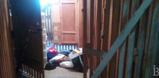 Opet kradje po Borči Obijen podrum Borča