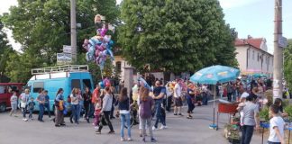 Vrbica u Borči Vrbica u Borči