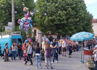 Лазарева субота – Врбица у Борчи Vrbica u Borči