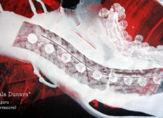 Kultura: Izložba slika u Borči Leva obala Dunava