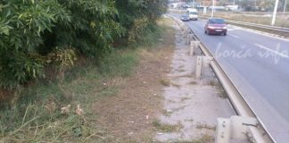 Pokošena trava duž trotoara kod Pančevca Pančevački most staza