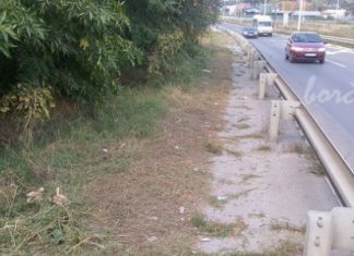 Pokošena trava duž trotoara kod Pančevca Pančevački most staza