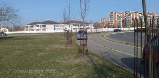 Obnovljen drvored u Borči Ratnih vojnih invalida