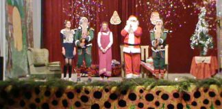 Otkazana predstava i koncert u Padinskoj Skeli Deda Mraz predstava