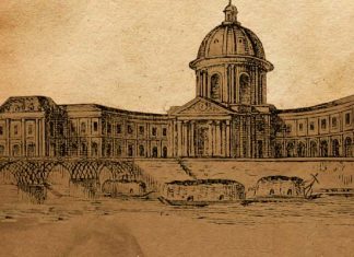 Fotelja na seni Fotelja na Seni