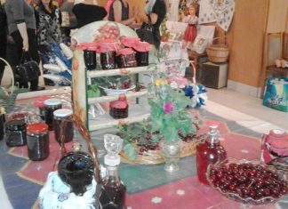 Šesta Višnjijada u Ovči višnjijada