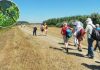 Pešačka tura do Beljarice – Upoznajte našu oazu prirode! Nasip u Borči