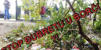 Za čistiju Borču – Branko ponavlja akciju čišćenja stajališta! stop đubretu