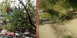 Čovek dana: Branko sam uredio stajalište kod Šopija