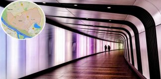 Borča od močvare do vodećeg IT centra