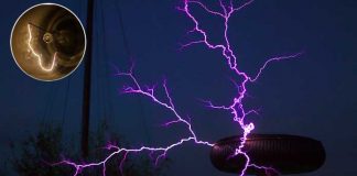 Isključenje struje za 01 i 02. novembar u Borči i Krnjači struja