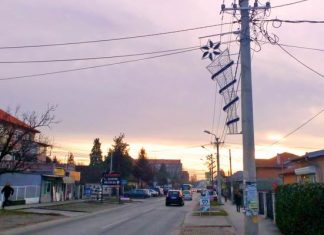 Postavlja se novogodišnja rasveta u Borči Novogodišnja rasveta