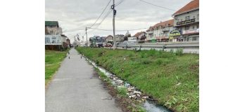 Fekalne vode duž Zrenjaninca i dalje muče žitelje Krnjače Zrenjaninski put