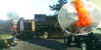 Katastrofalno! Požar u Borči (VIDEO) Požar u Borči