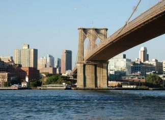 Borča, Ovča i Krnjača kao vodeća urbana naselja most