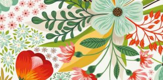 Bakin spomenar knjiga