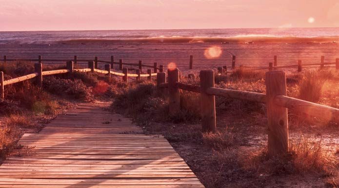 Noći u Rodanteu Noći u Rodanteu - knjiga