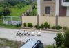 Labudovi u porodičnoj šetnji kroz Borču Labudovi u šetnji