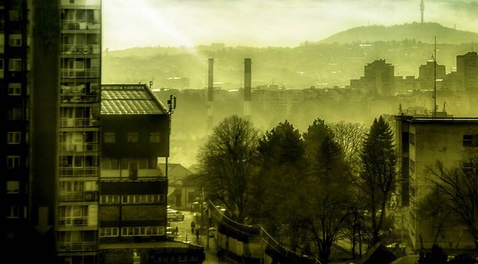 Black Light Miomir Petrović „Black Light“