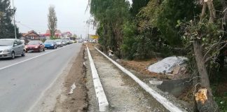 Radi se trotoar duž Zrenjaninskog puta u Borči Radovi na pešačkoj stazi