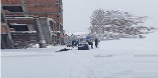 Samoubistvo supružnika u Borči