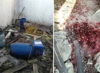 Nepoznate materije na levoj obali otkrili članovi udruženja Eko-Pančevački rit Otpad