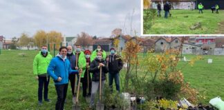 Posađeno 40 stabala u parkiću na Gredi