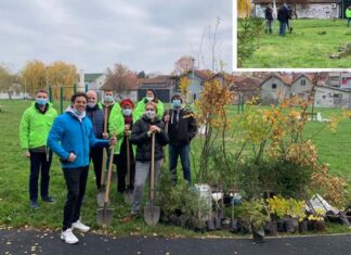 Posađeno 40 stabala u parkiću na Gredi