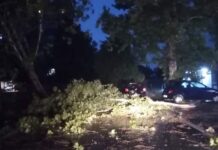 Невреме погодило и Борчу