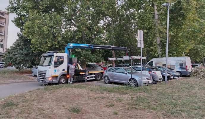 Pauk u Borči podiže auto