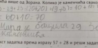 Другак из Борче слатко нас је насмејао: Лептир појео 57 полена, скупио још 28, а онда уследило питање које нико није очекивао Ђак другак нас насмејао задатком из математике