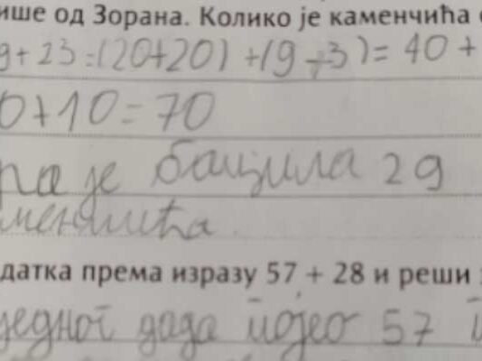 Другак из Борче слатко нас је насмејао: Лептир појео 57 полена, скупио још 28, а онда уследило питање које нико није очекивао Ђак другак нас насмејао задатком из математике